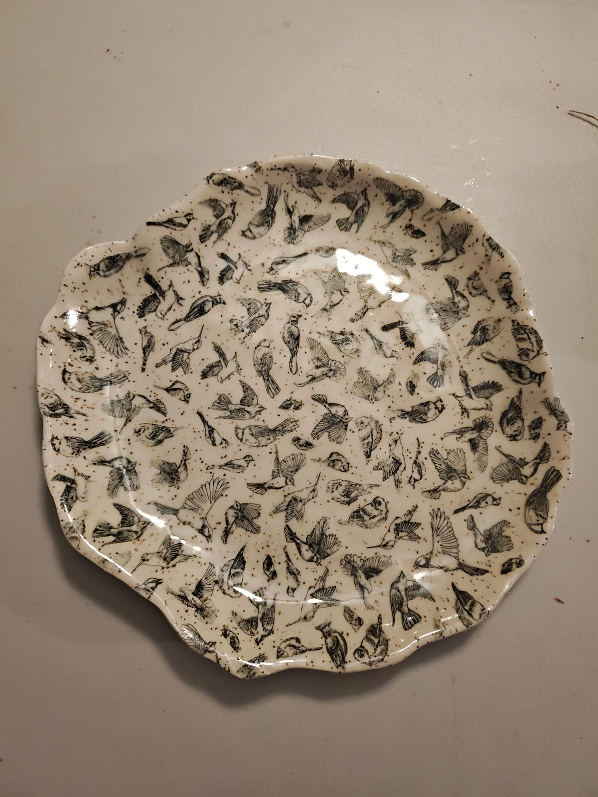 Bird Platter