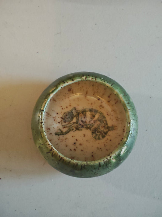 Small Chameleon Pot
